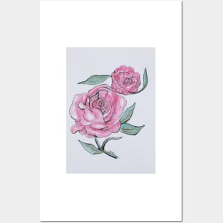 Pretty And Pink Roses Posters and Art